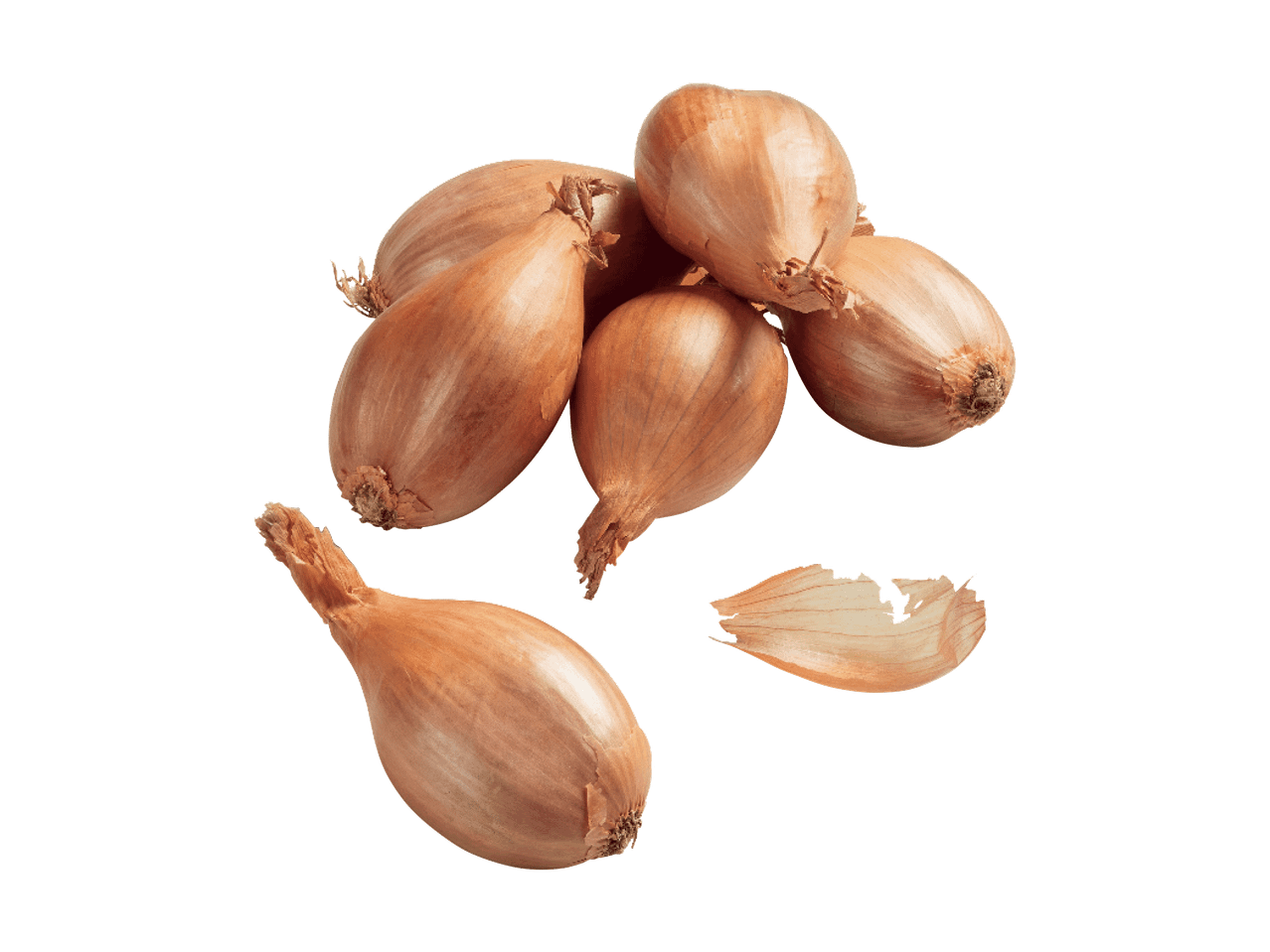 Kobar šalottsibulaid ja üks lahtine sibulakoor mustal taustal.