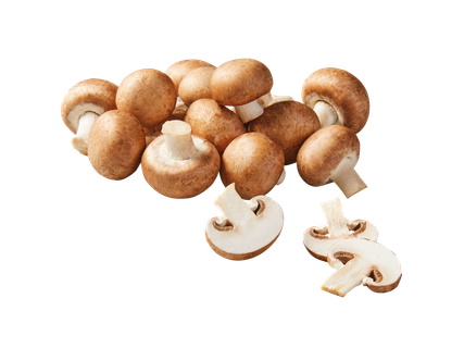 Rudieji pievagrybiai