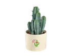Un cactus bleu dans un pot avec le texte 'Ne touchez pas à ça'.