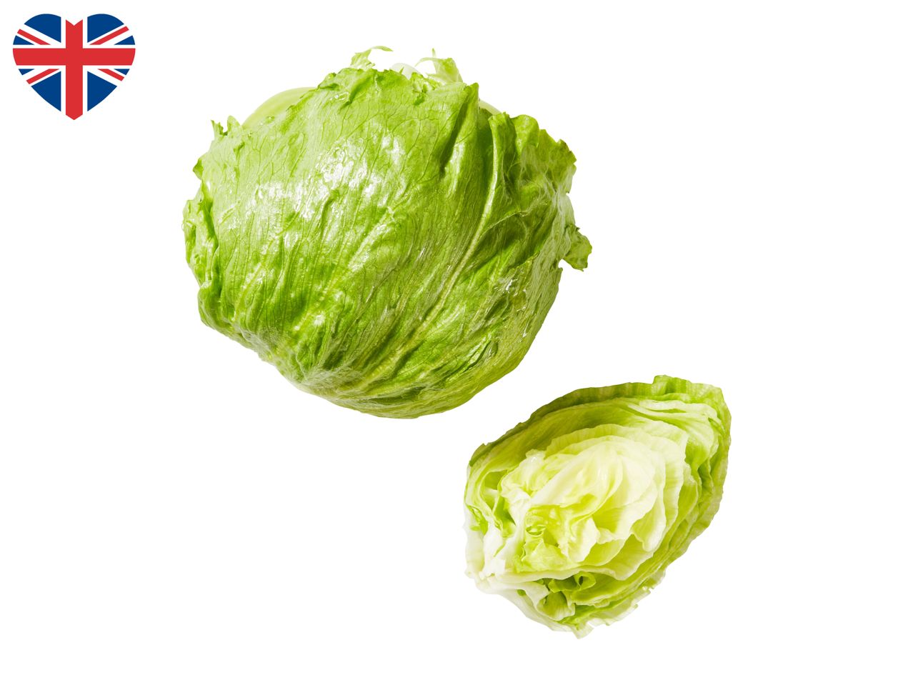 Iceberg Lettuce