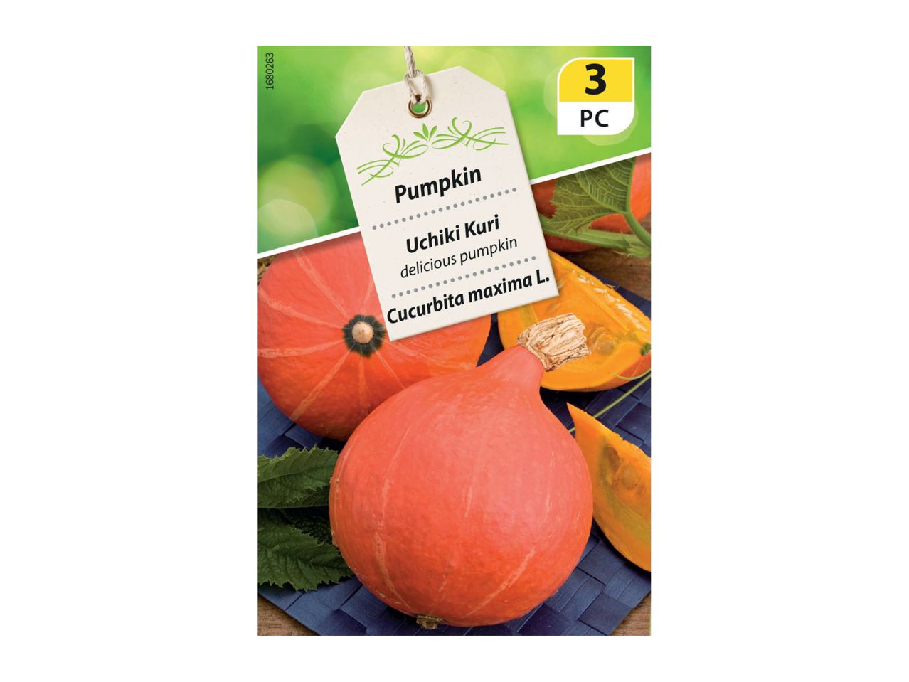 Pumpkin seeds for Uchiki Kuri, a delicious pumpkin variety, with 3 pieces indicated.