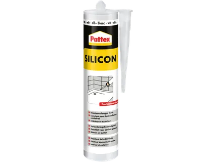 Silicon