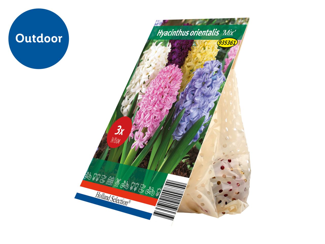 Hyacinthus orientalis 'Mix' flower bulbs in a decorative bag, labeled for outdoor use.