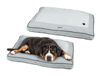 Ein Sennenhund liegt auf einem ZooFari-Hundebett; ein zweites Bett ist oben zu sehen.