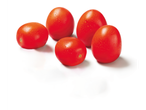 Five fresh, red plum tomatoes with water droplets on a white background.