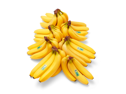 Bio Fairtrade bananen