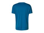 Back view of a men's short-sleeved sports t-shirt in a vibrant blue color.