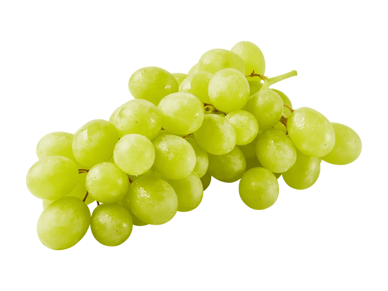 Ein Bund frischer, grüner Weintrauben mit Wassertropfen auf weißem Hintergrund.