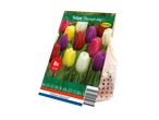 Verpakking voor 'Triumph Mix' tulpenbollen van Holland Selection.