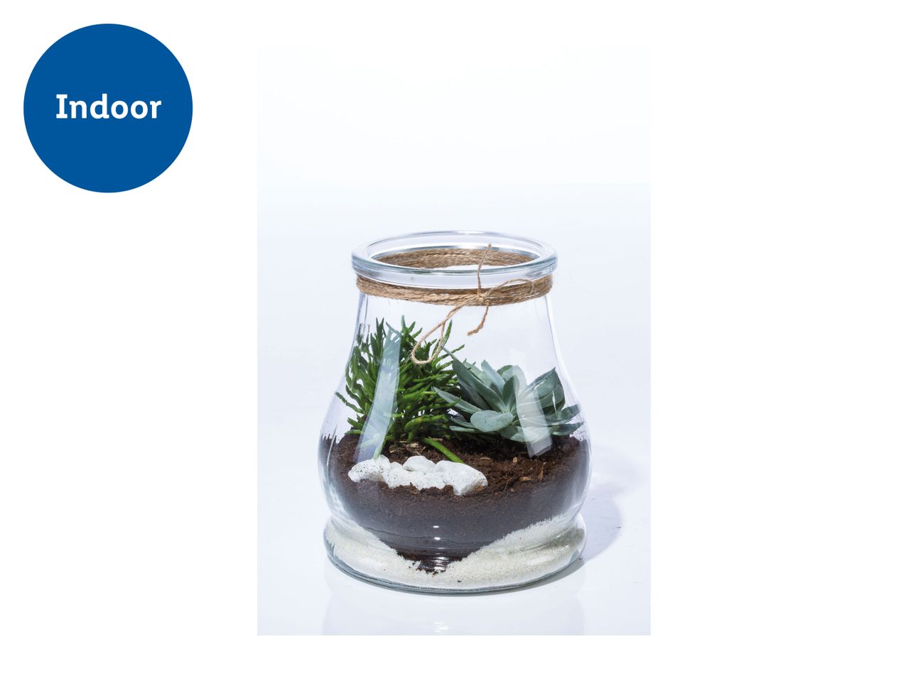 A small terrarium in a clear glass vase contains succulents and decorative sand.