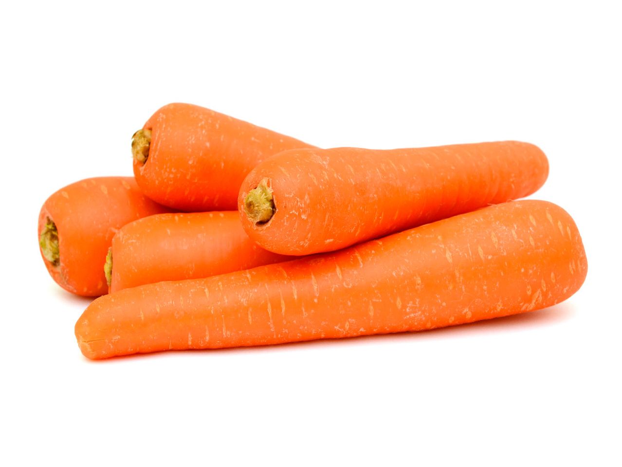 Fresh carrots ready to be used.