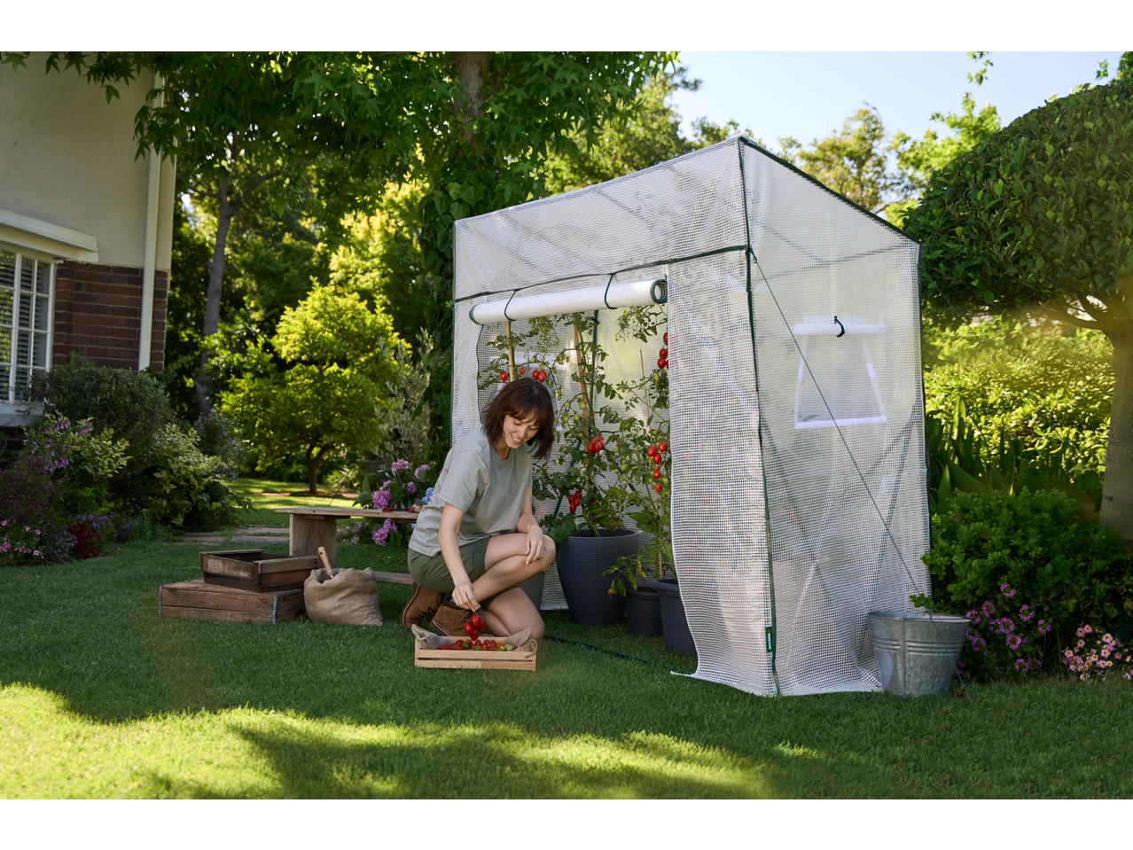 PARKSIDE Gewächshaus im Garten mit einer Frau, die Tomaten erntet.