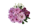 Ramos de crisântemos cor de lavanda e flores de botão brancas.