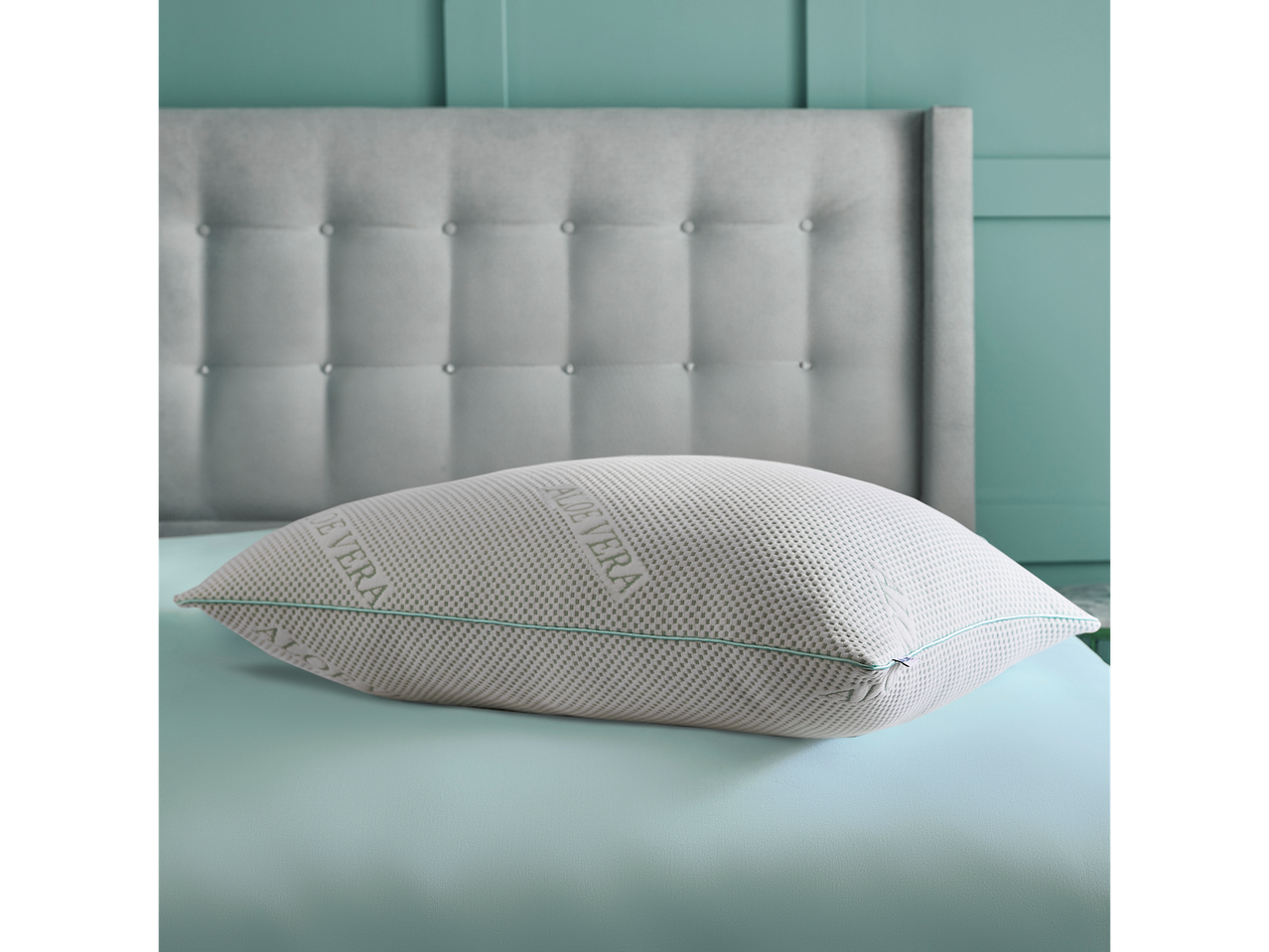 An Aloe Vera pillow rests on a light teal bedsheet.