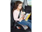 Child reading a book in a car seat with a stuffed animal.