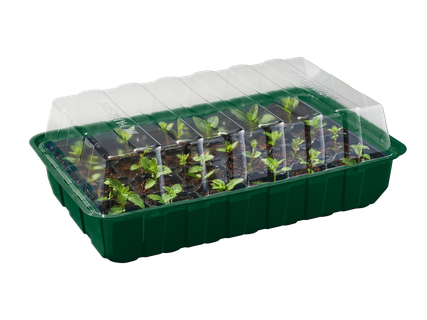 Palántázókészlet