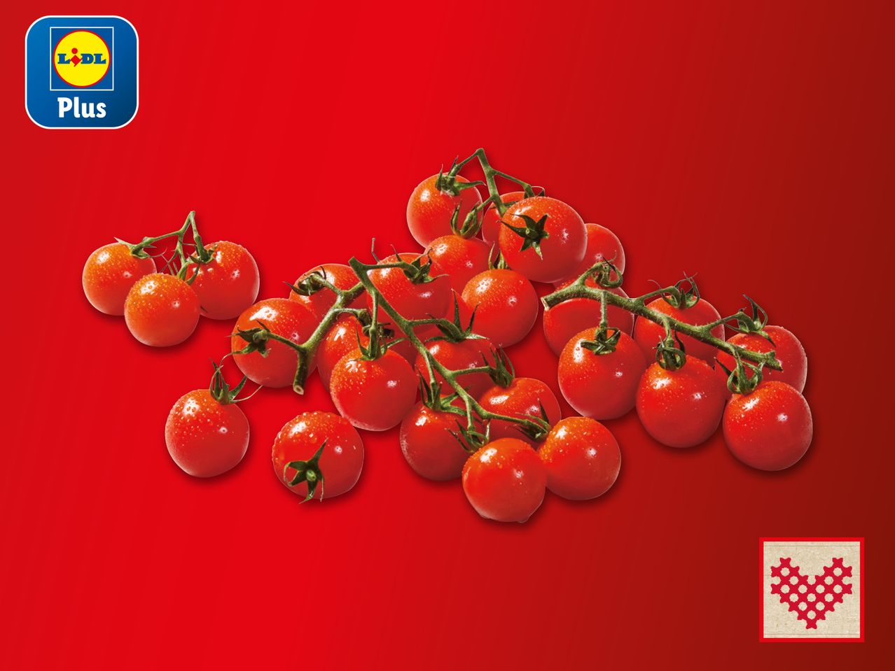 Grozdovi rajčica na crvenoj pozadini s logotipom Lidl Plus.