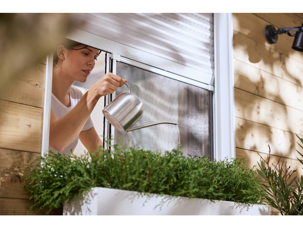 Mulher regando plantas num vaso branco com um regador de metal, com uma rede mosquiteira visível.