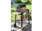 Barbecue grill with food cooking, side shelves, and storage, set in a garden.