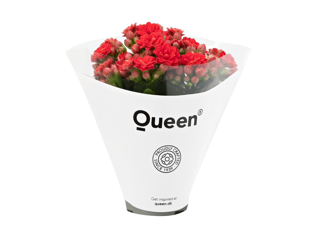 Røde blomster i hvid indpakning med teksten 'Proudly Crafted Since 1939' og 'Get inspired at queen.dk'.