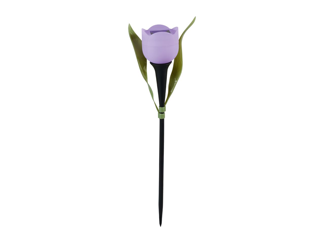 Purple tulip-shaped solar garden light with green leaves and a black stake.