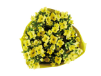 Buquê de flores amarelas em embalagem amarela.