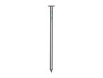 A single, silver-colored nail with a flat head and pointed tip.