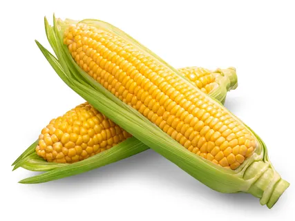 Csemegekukorica