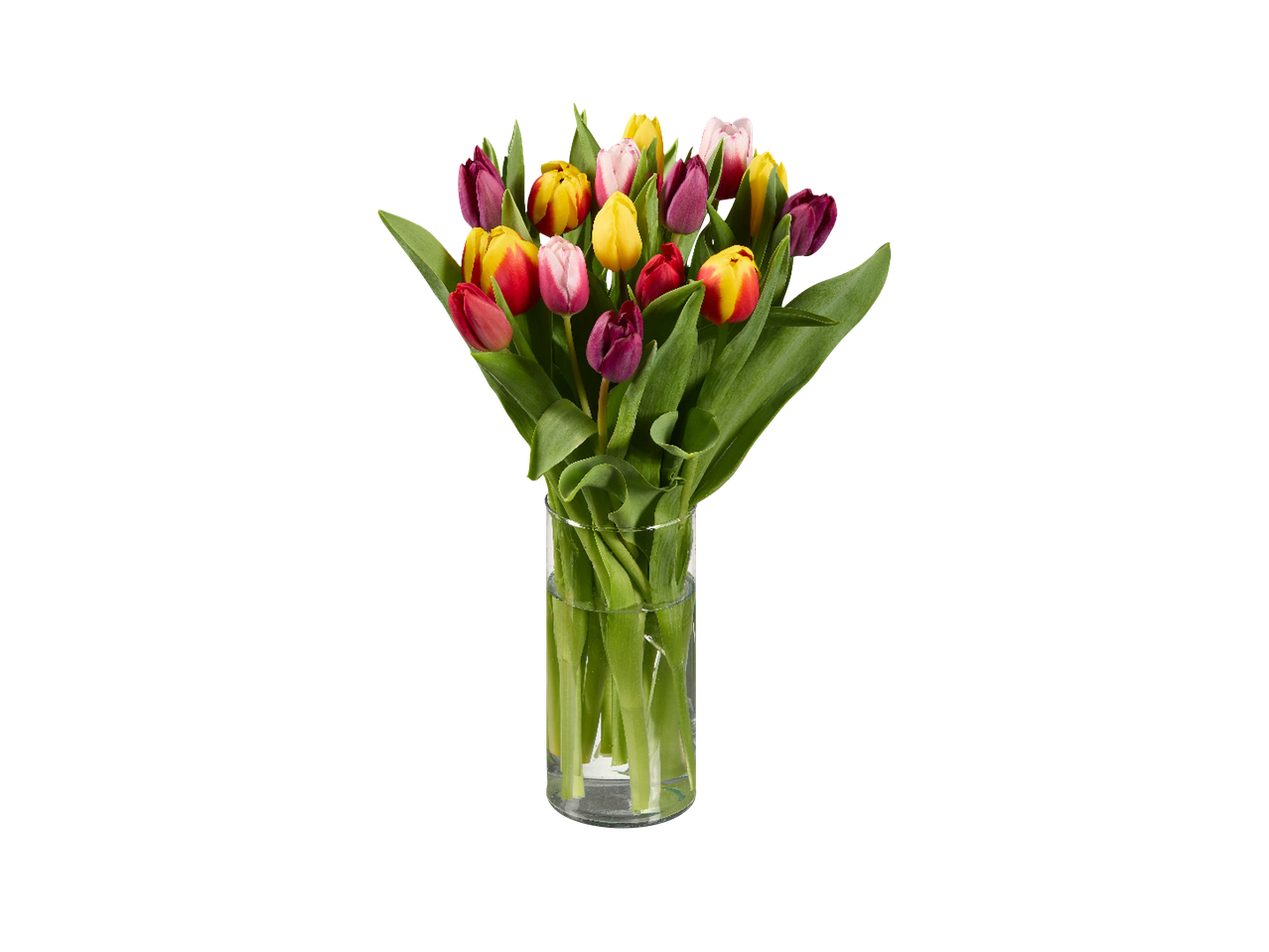 Buket raznobojnih tulipana u staklenoj vazi.