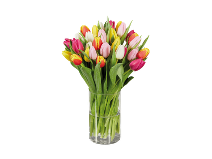 Tulpenboeket XXL
