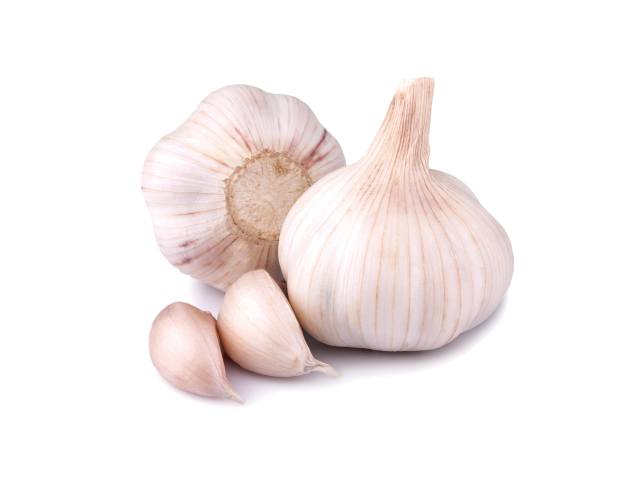 Alho inteiro e dentes de alho sobre um fundo branco.
