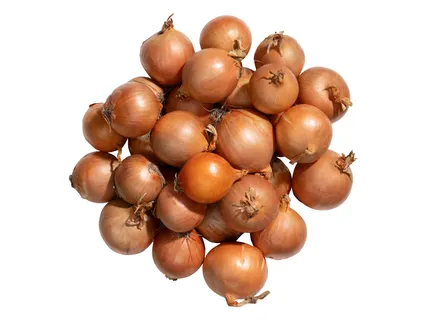 Vöröshagyma