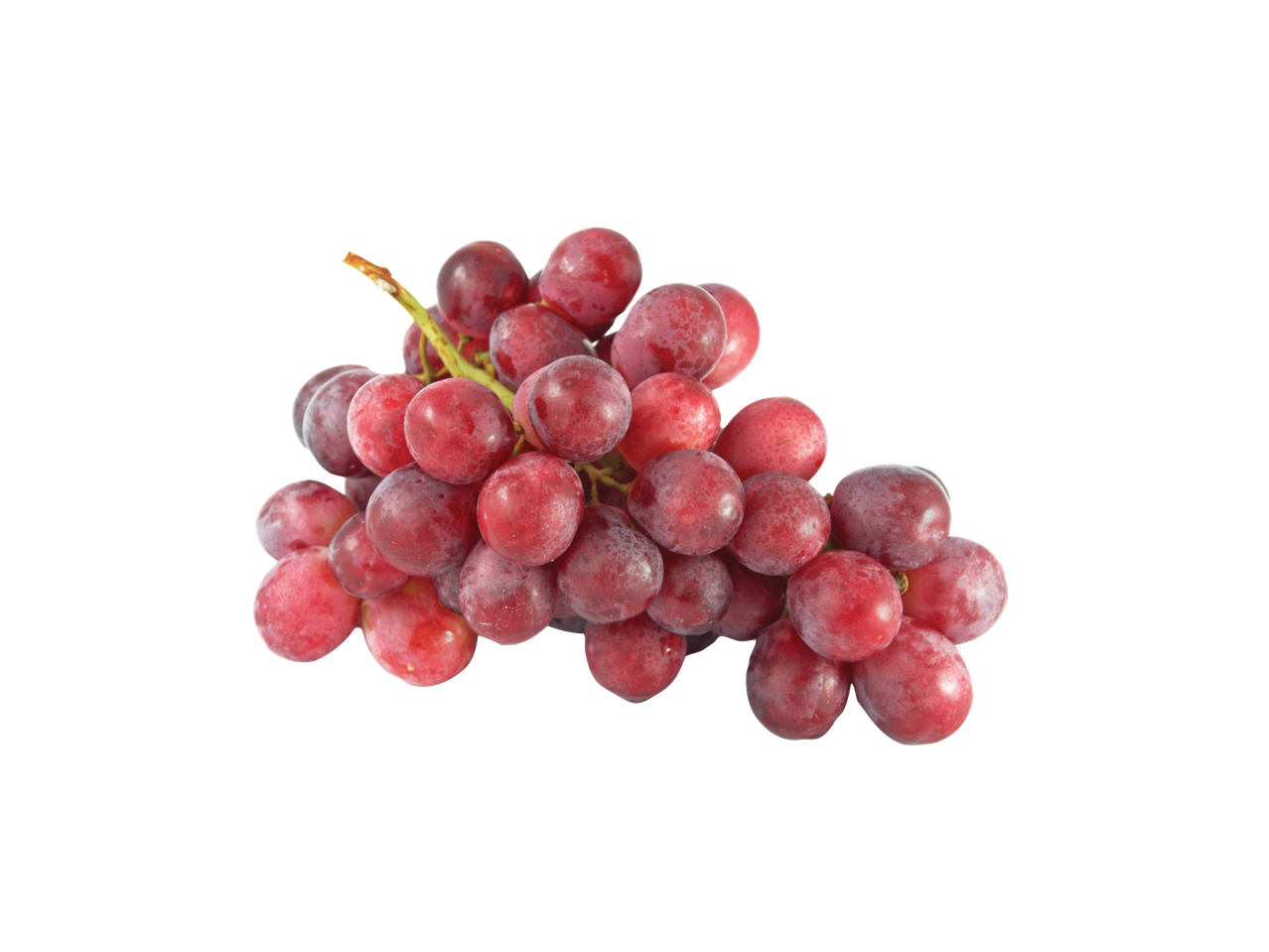 Sarkano vīnogu ķekars uz melna fona.