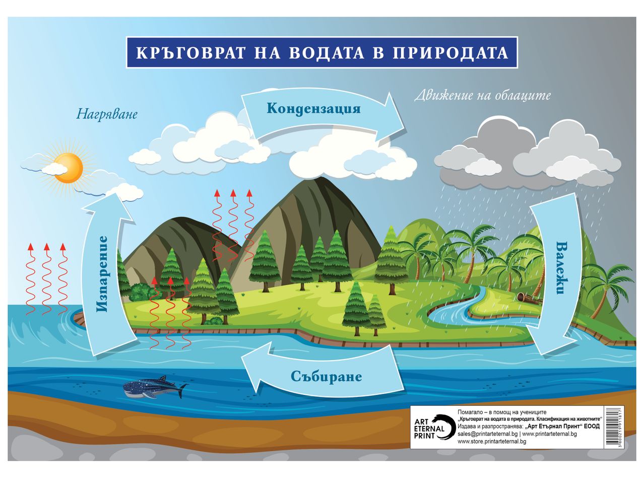 Учебно помагало за кръговрата на водата в природата от Art Eternal Print.