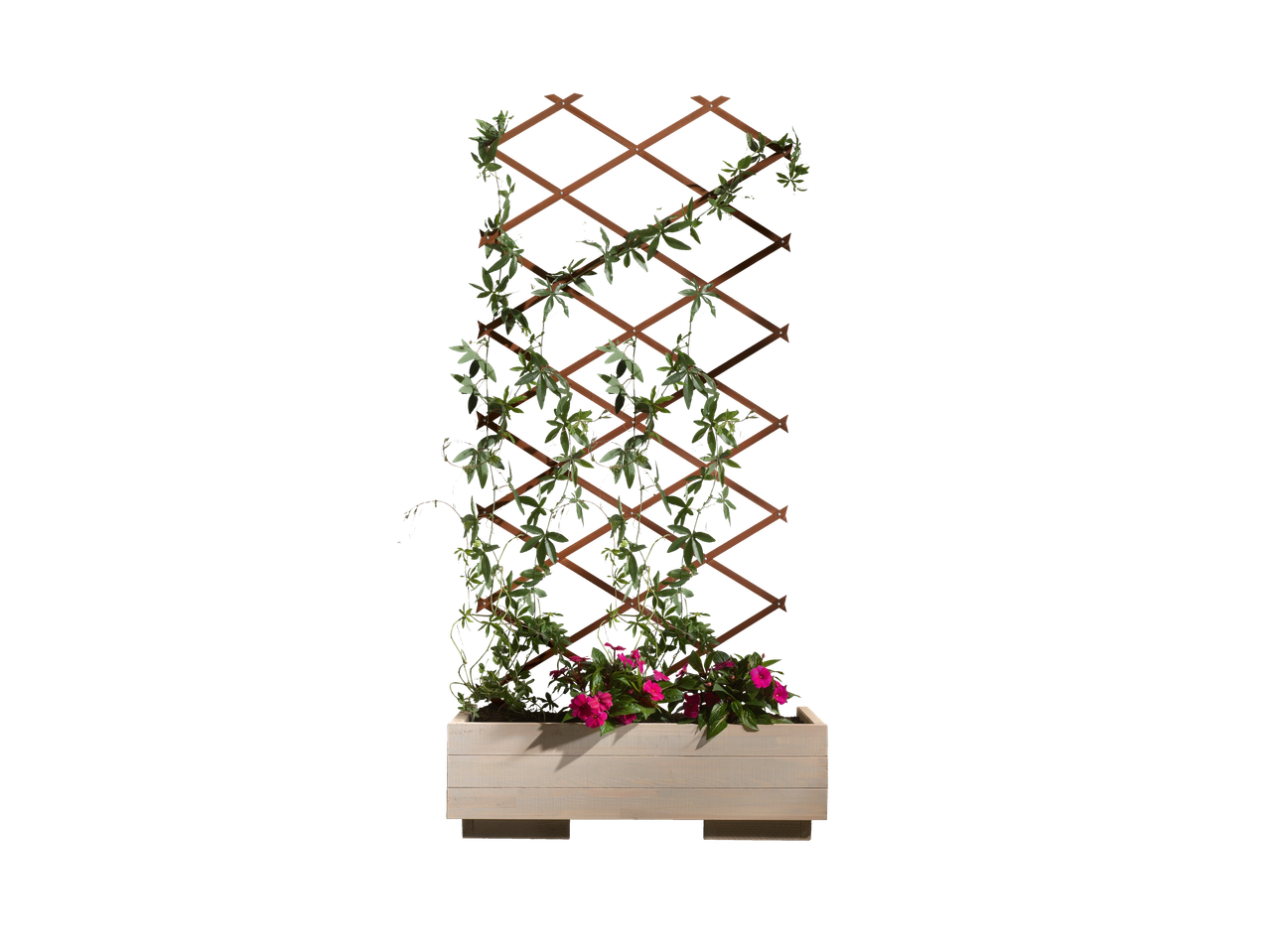 Ga naar volledige schermweergave: Plantenbak met plantenklimrek - afbeelding 2