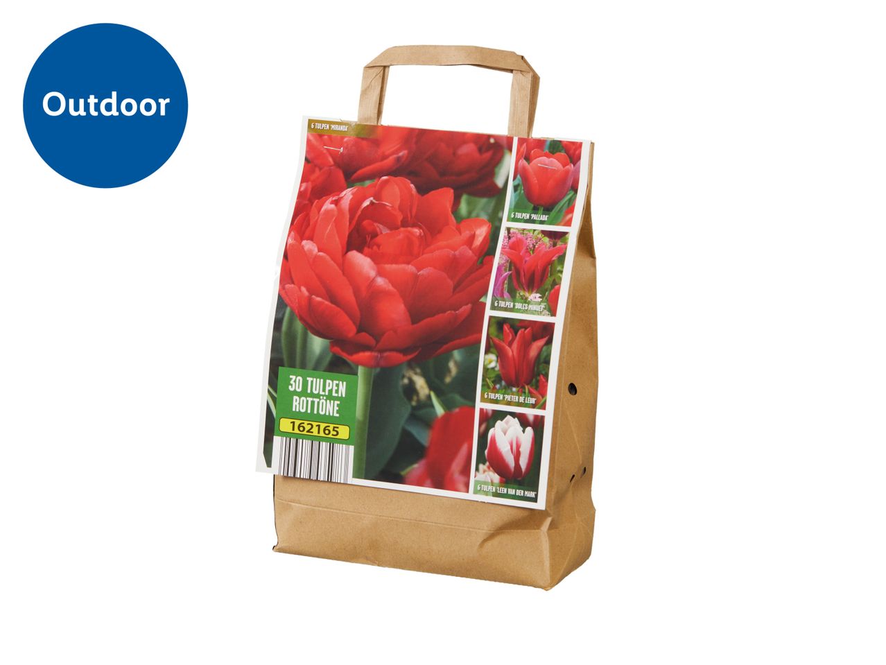 Brown paper bag with a label showing various red tulip varieties, labeled for outdoor use.