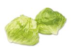To friske hoveder af sprød iceberg salat med vanddråber.