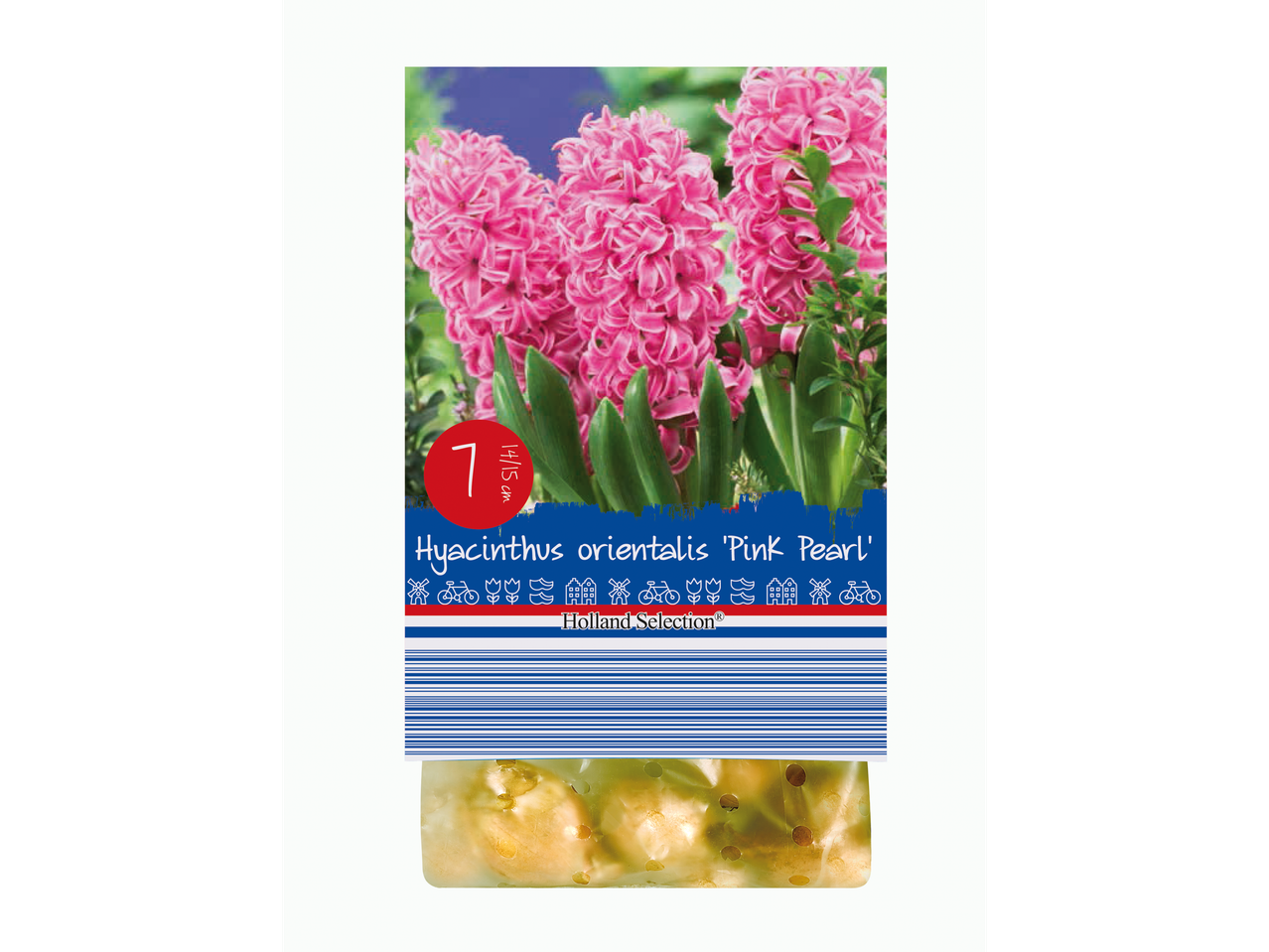 Go to full screen view: Spring Flowering Bulbs - Image 1