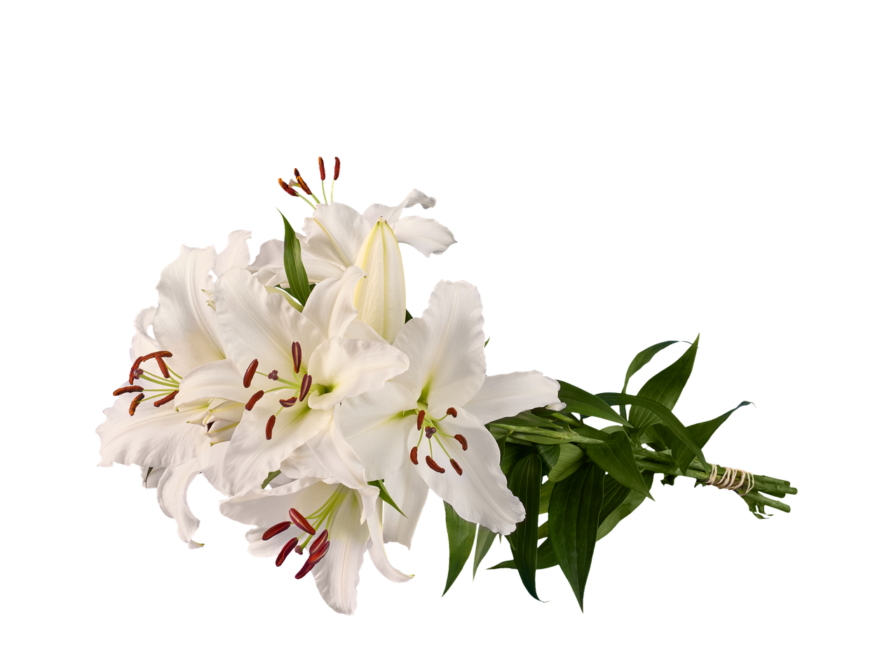 Buchet de crini albi pe fundal negru.