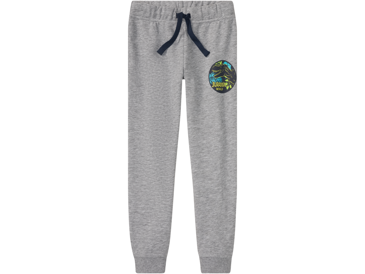 Gray kids' sweatpants featuring Jurassic World design.