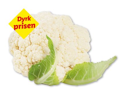 Dansk Blomkål