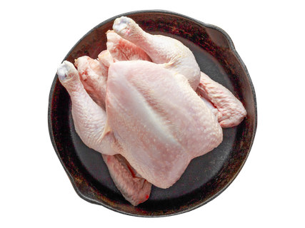 Šviežias viščiukas broileris 