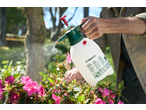 Person spraying pink flowers with a Parkside pressure sprayer.