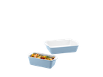 Dois refratários azuis, um com peixe e legumes.