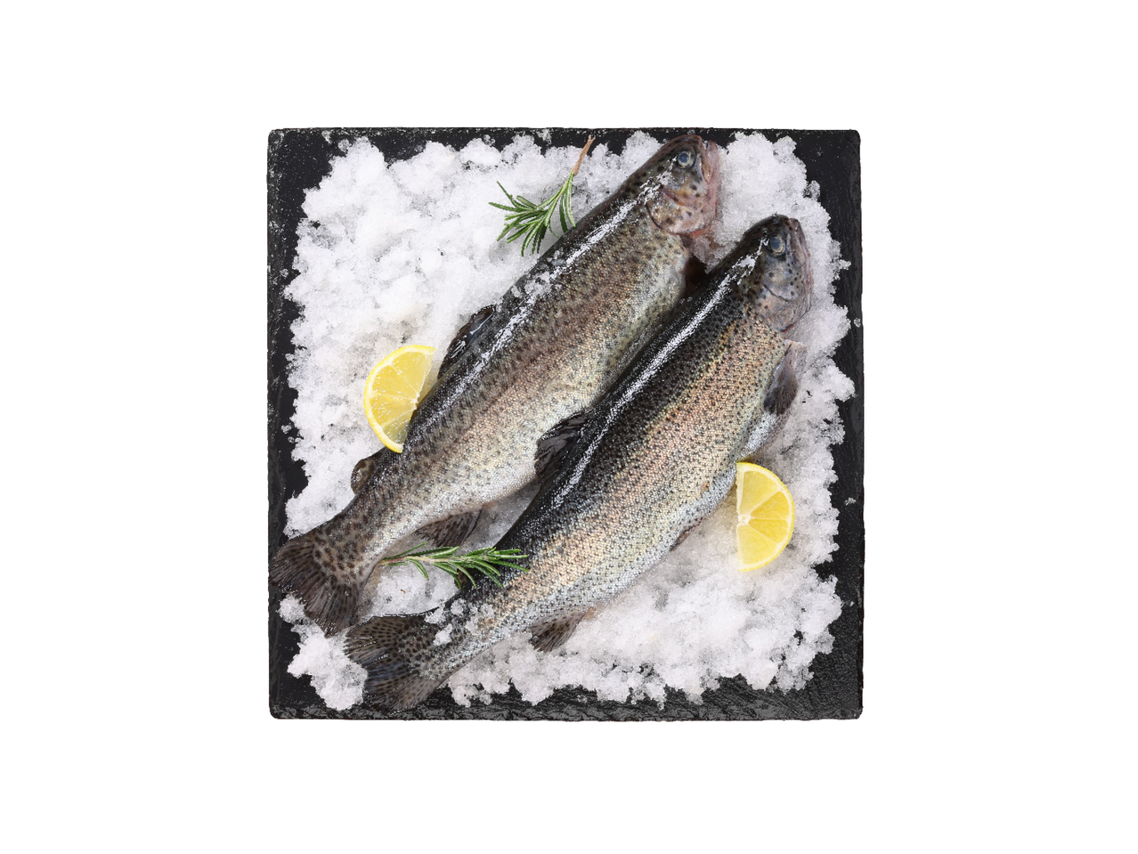 Dve sveže pastrmke na ledu sa kriškama limuna i ruzmarinom na crnoj ploči.