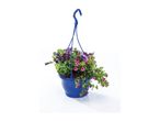 Blue hanging basket with purple and pink flowering plants.