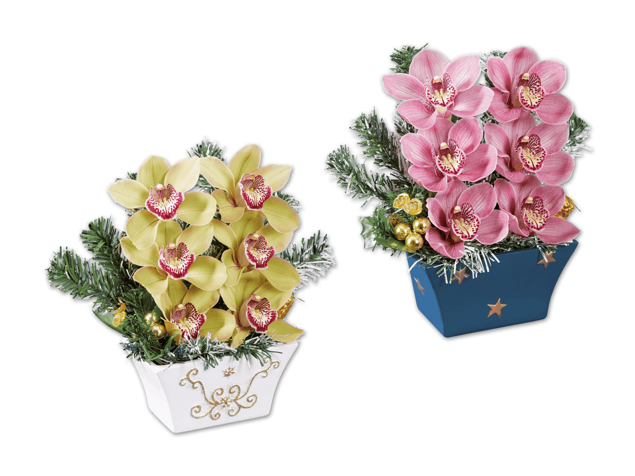 Zwei festliche Orchideenarrangements in Töpfen, eines mit gelben und eines mit rosa Blüten.