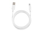 White USB to Lightning charging cable, coiled in a circle on a white background.