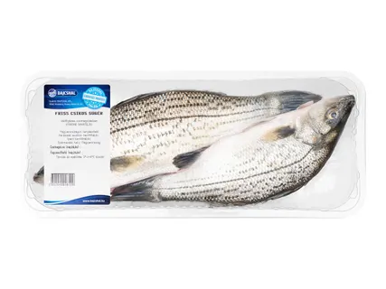 Friss csíkos sügér