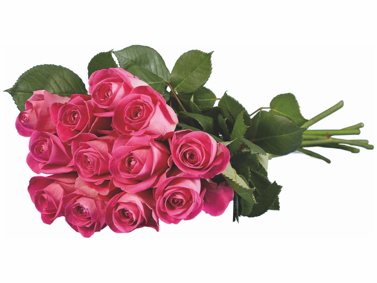 Aller en mode plein écran : Bouquet de roses ou de tulipe - Image 1